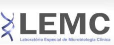 lemc logo