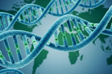 Teste Genético: Descubra seu DNA 3 teste genetico ancestralidade hemolab edited